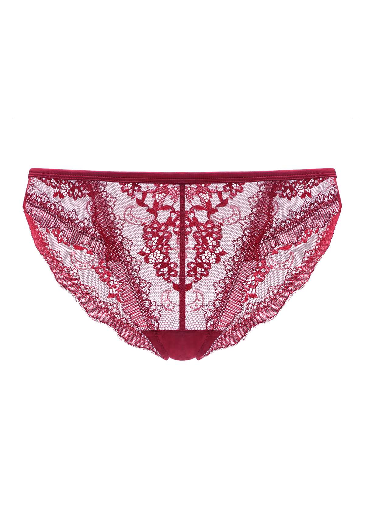 HSIA Floral Bridal Intricate All-Over Lace Romantic Bikini Underwear - Burgundy / XXL