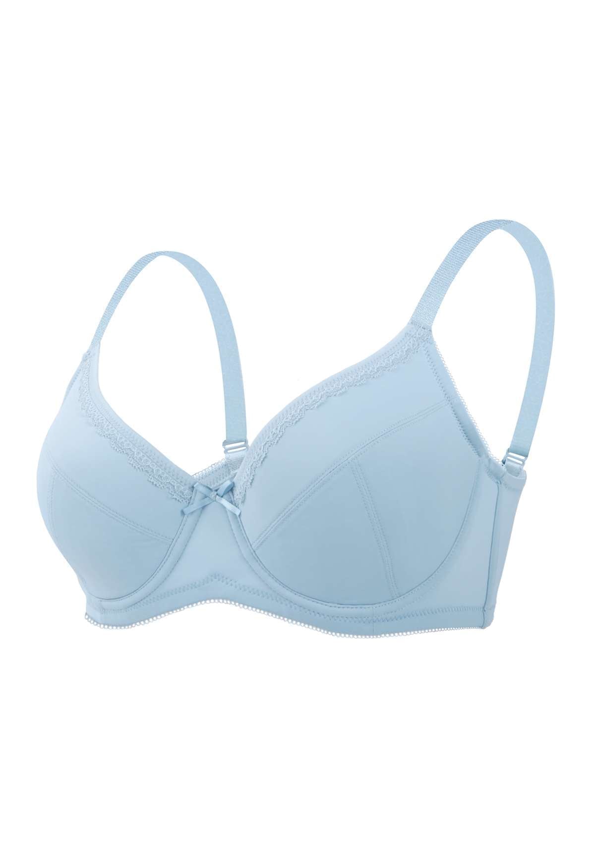 HSIA Lightly Padded Comfort Everyday Underwire Bra - Light Blue / 42 / D