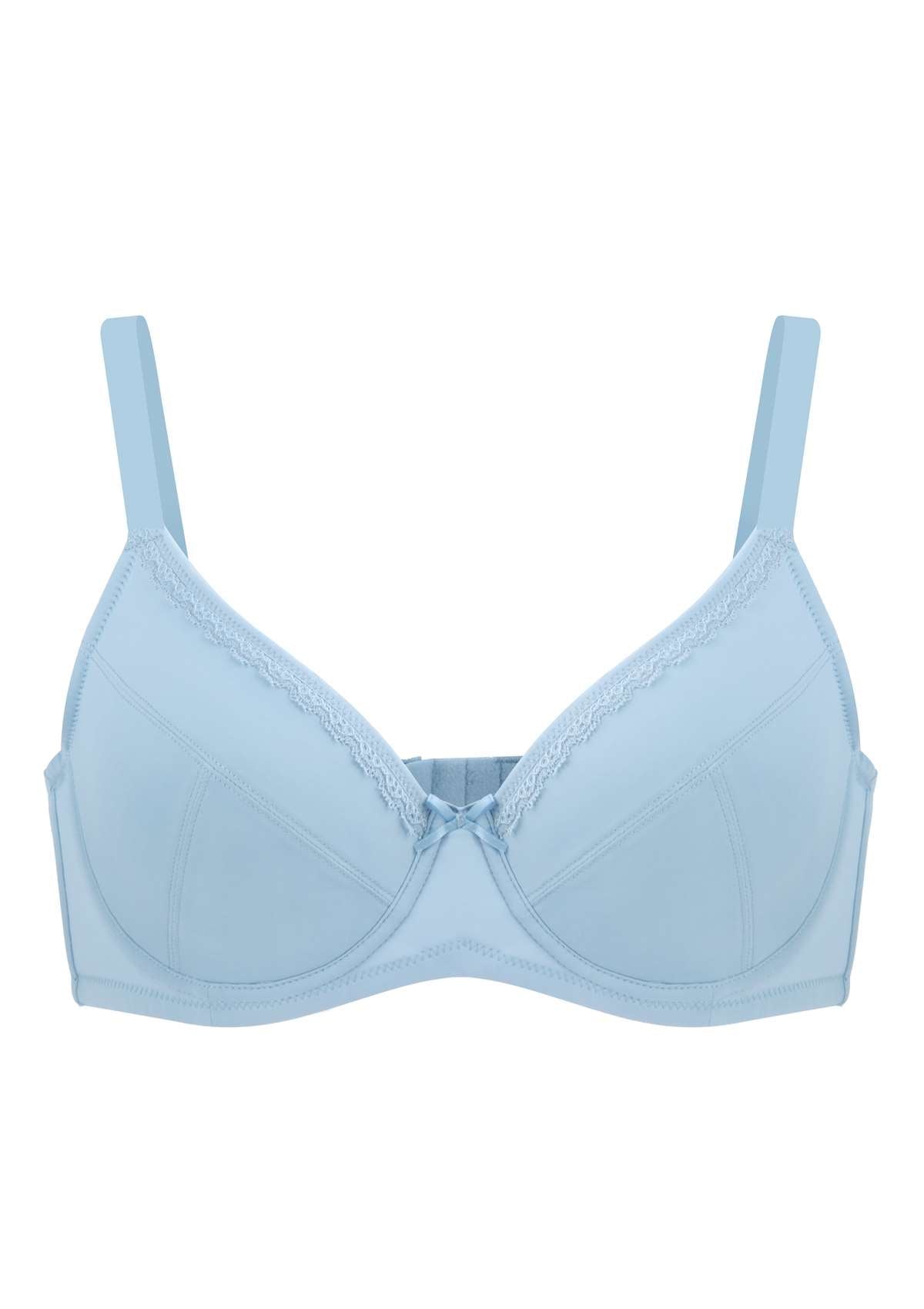 HSIA Lightly Padded Comfort Everyday Underwire Bra - Light Blue / 42 / D