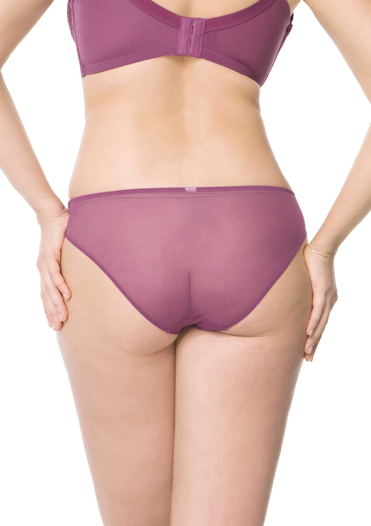 HSIA Peony Lace Mesh Everyday Bikini Underwear 3 Pack - S / Light Coral+Green+Purple