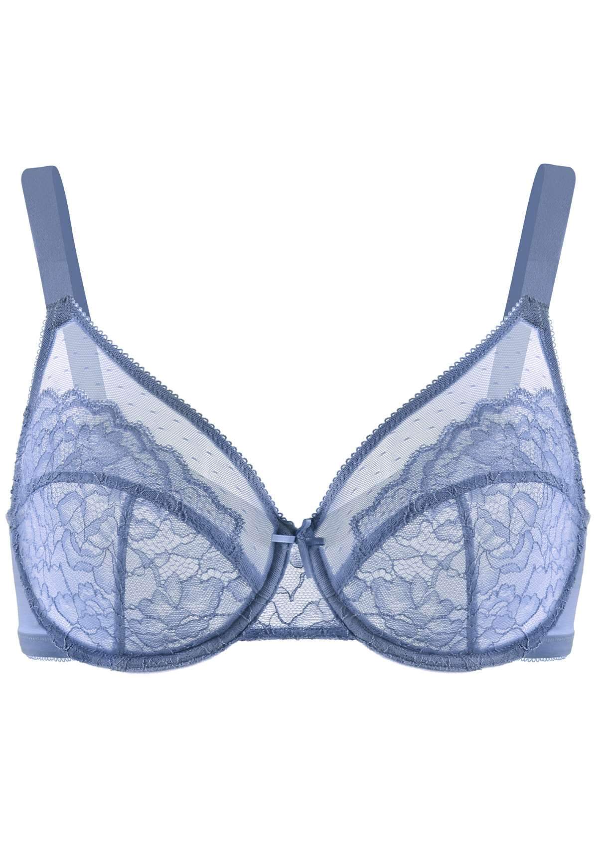 HSIA Enchante Underwire Lace Mesh Bra: Unlined Bra For Plus Size - Denim Blue / 34 / D