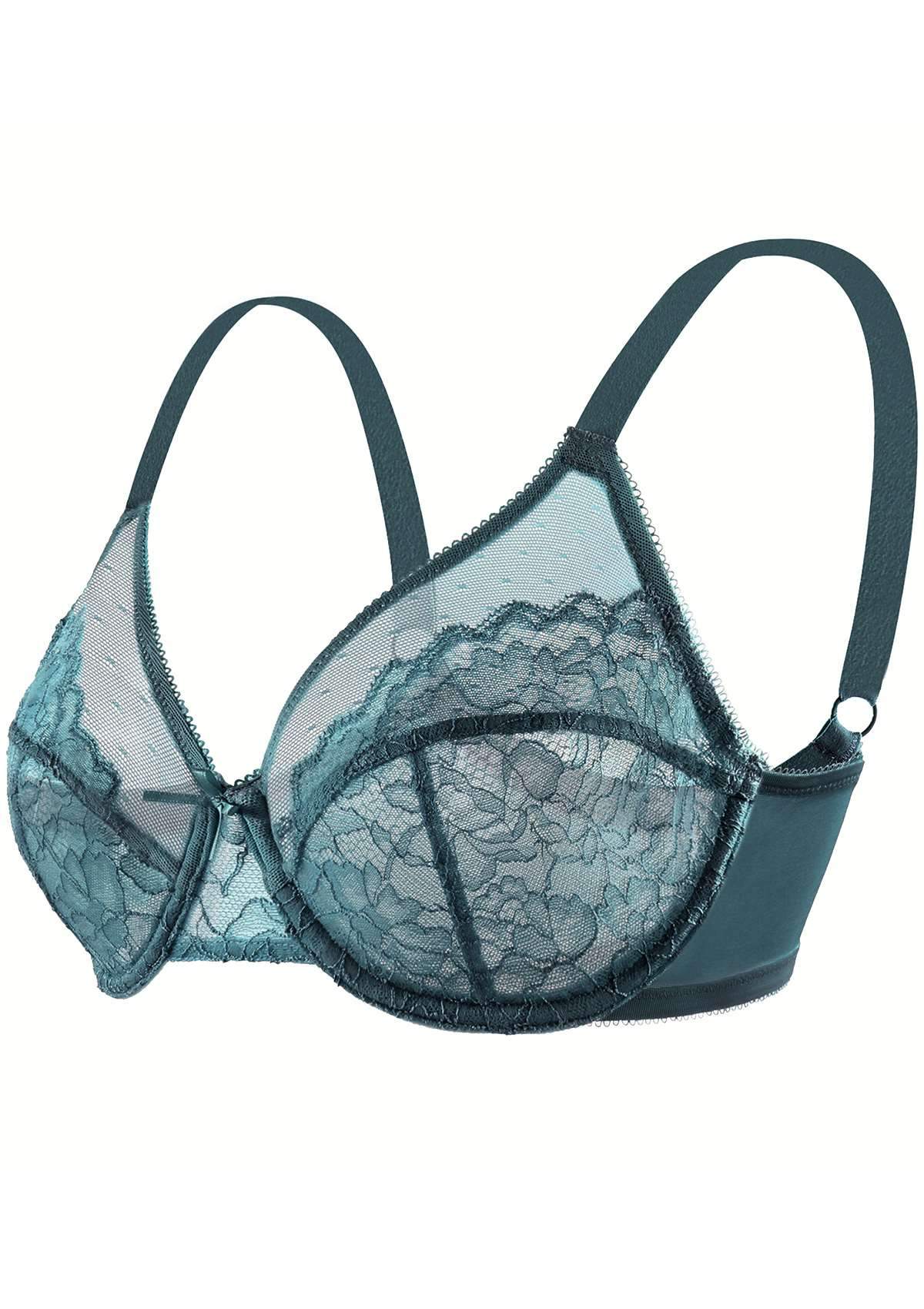HSIA Enchante Bra And Underwear Set: Sexy, Comfortable See-Through Bra - Balsam Blue / 34 / DDD/F