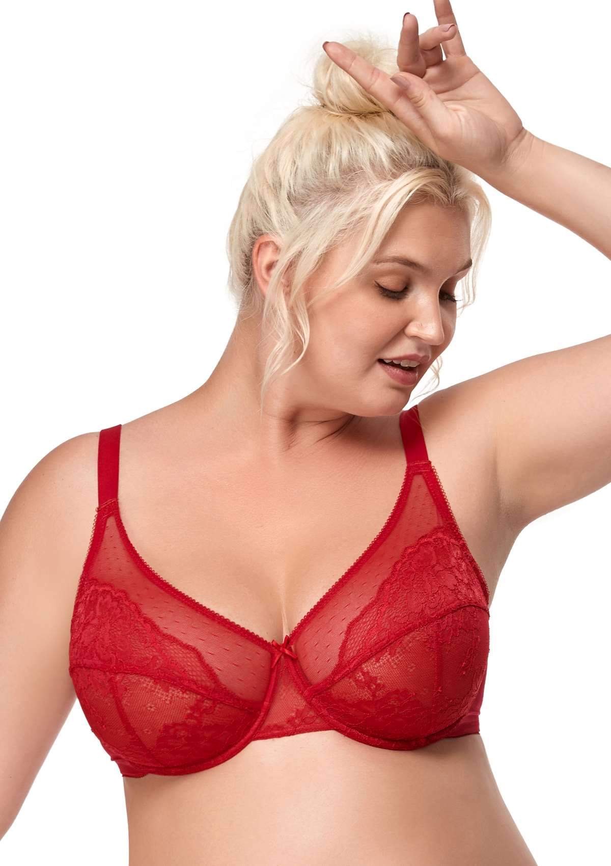 HSIA Enchante Full Support Lace Underwire Bra: Ideal For Big Breasts - Crimson / 34 / C