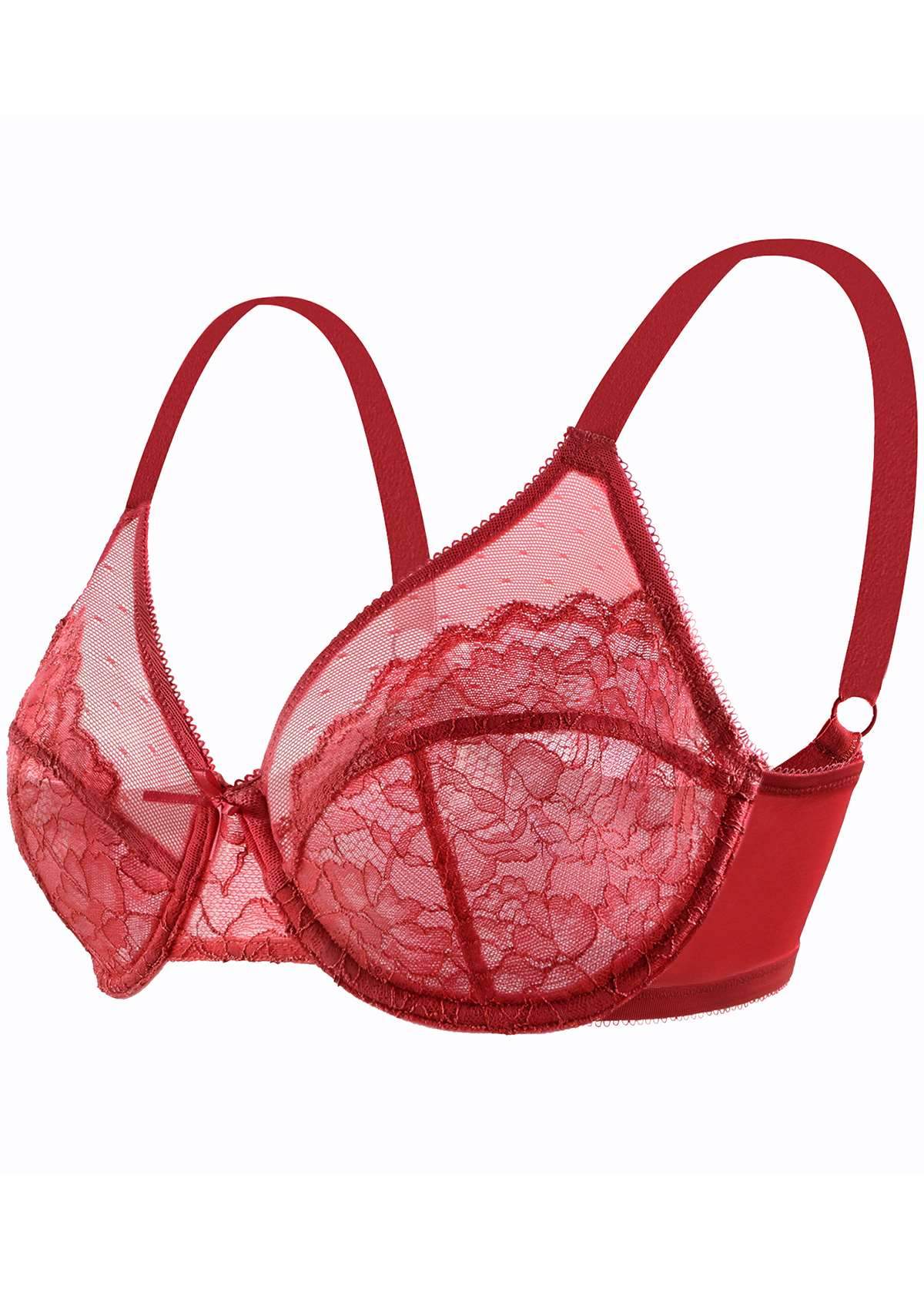 HSIA Enchante Full Support Lace Underwire Bra: Ideal For Big Breasts - Crimson / 34 / D