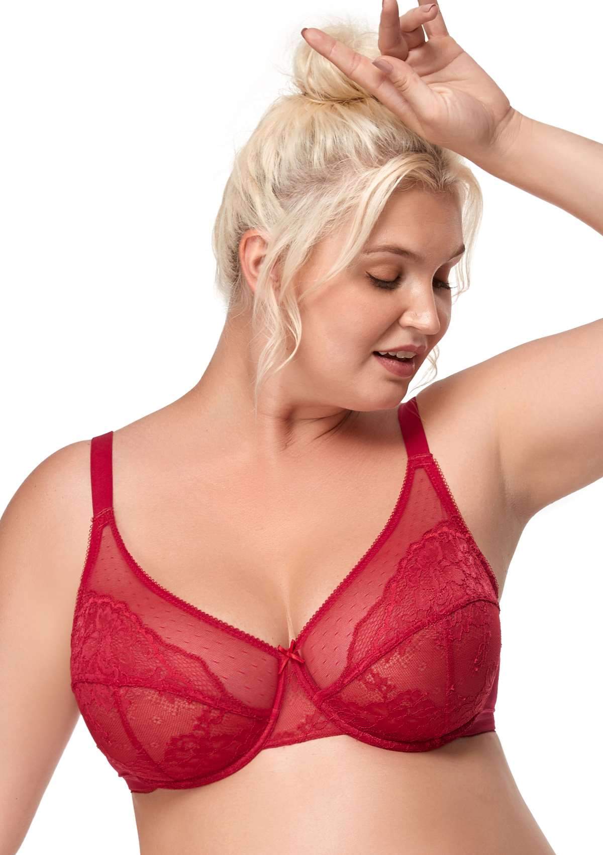 HSIA Enchante Full Support Lace Underwire Bra: Ideal For Big Breasts - Crimson / 34 / C