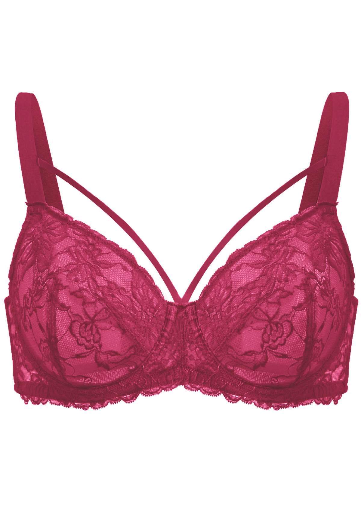 HSIA Pretty In Petals Sexy Lace Bra: Full Coverage Back Smoothing Bra - Red / 32 / DD/E