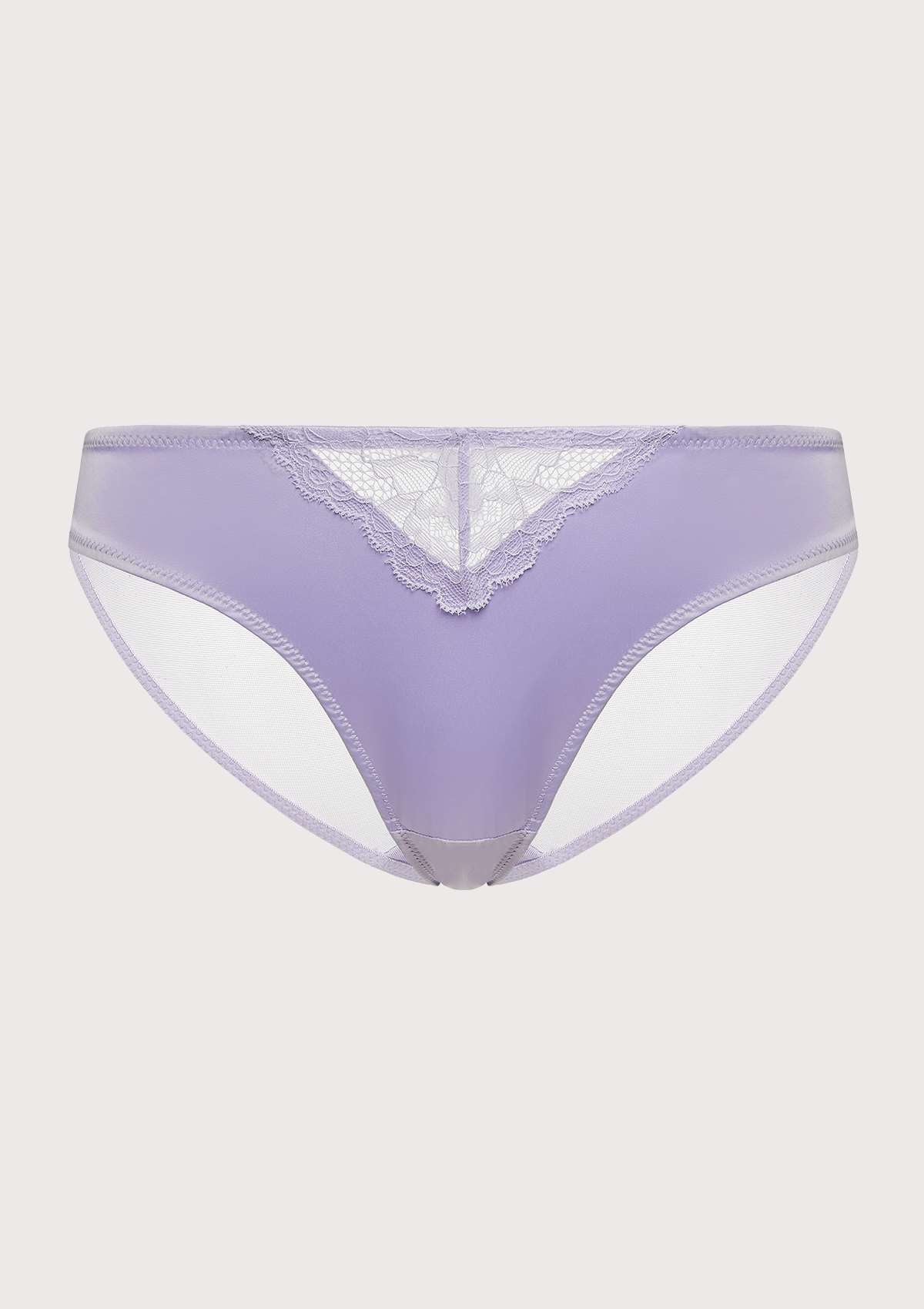 HSIA Foxy Satin Floral Lace-Trimmed Mesh Back Soft Bikini Underwear - XXL / Champagne