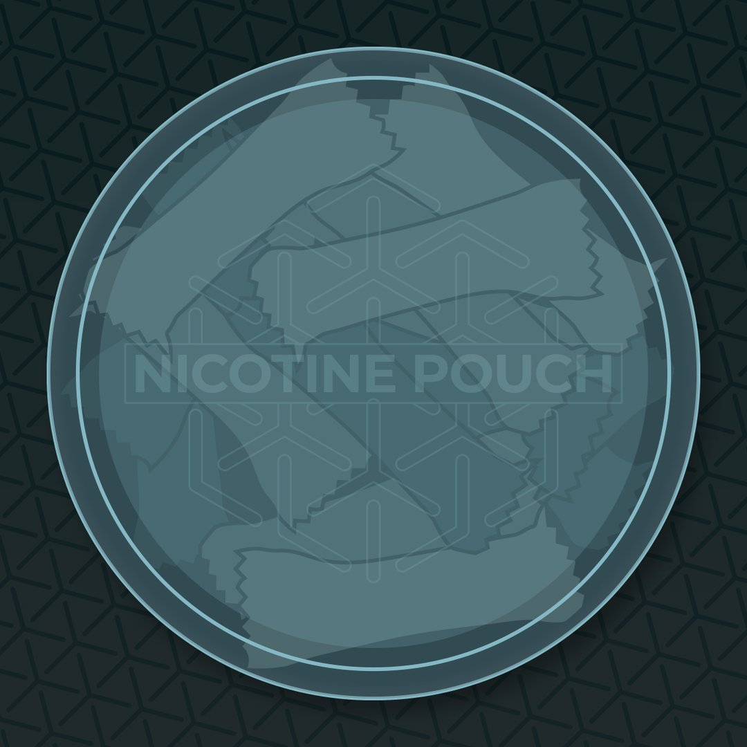 Tobacco-Free Nicotine Pouches  Übbs Nicotine Pouches – Übbs Pouches