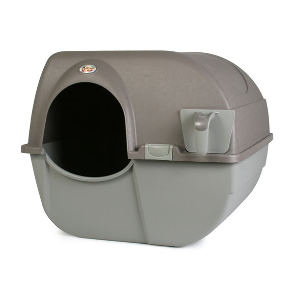 self cleaning litter box regular litter