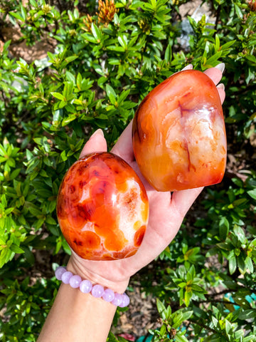 Genuine Carnelian Freeforms