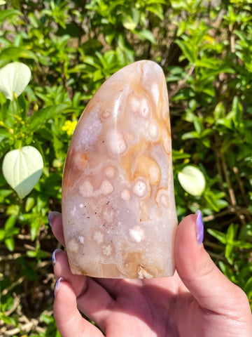 Flower Agate Freeform