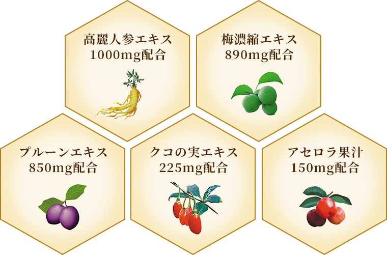 アセロラ、梅、高麗人参、クコの実、プルーン