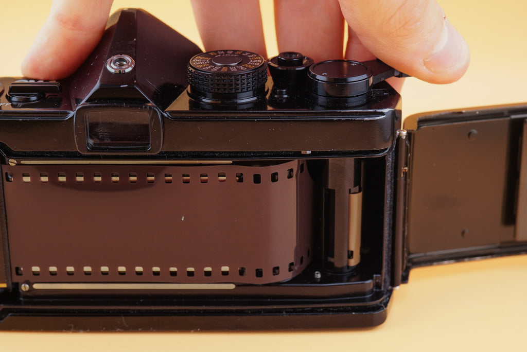 a pulled film roll inside an olympus om-1 camera