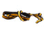 Nikon Black & Yellow Thin Fabric Neck Strap - Accessory Image