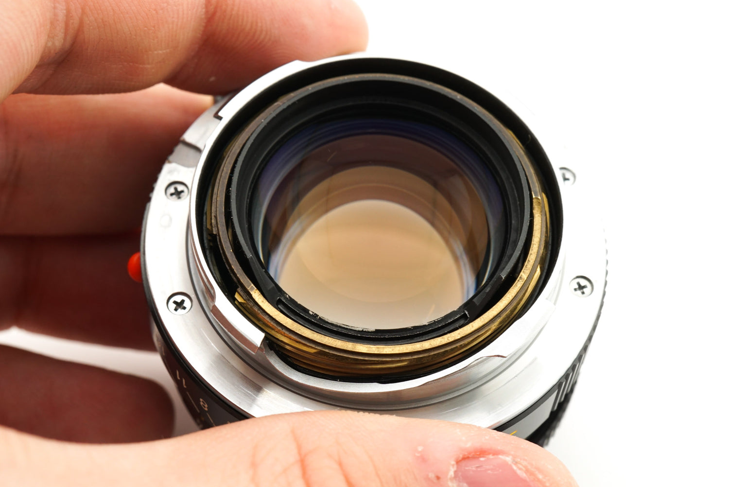 Leica 35mm f2 Summicron-M (Type IV) + Lens Hood A42 (12526