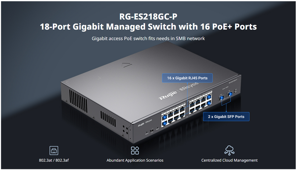 RG-ES218GC-P Overview