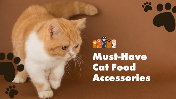 Must-Have Cat Food Accessories