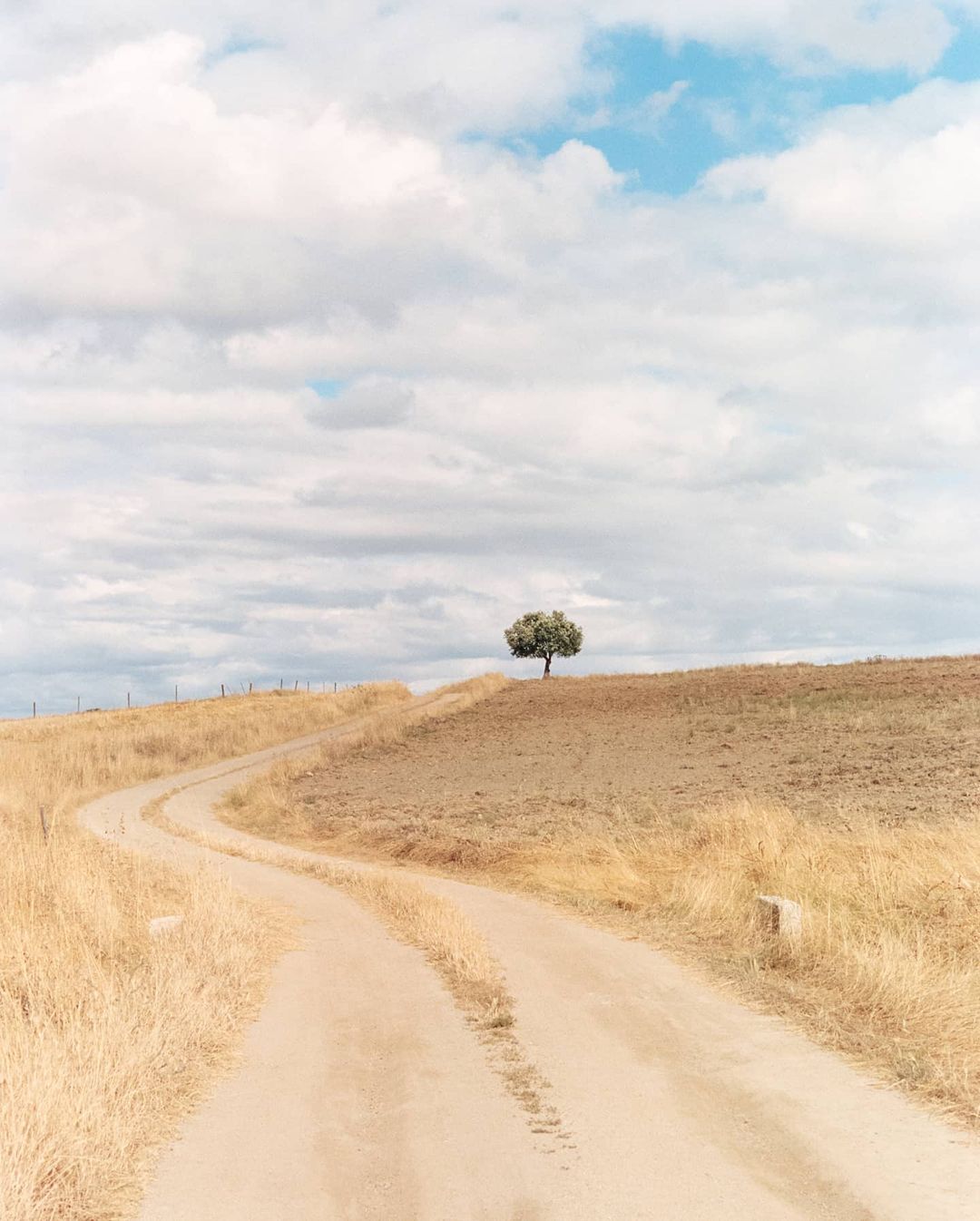 film photo taken of a windy road