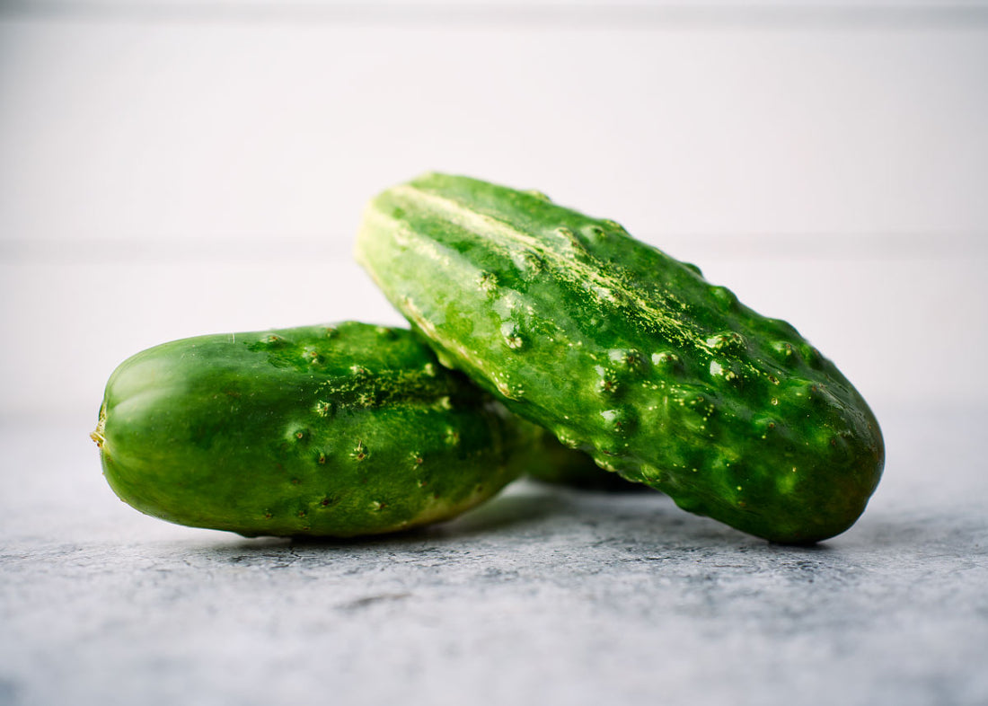 Cucumber: H-19, Little Leaf, Organic Seed #159 – Best Cool Seeds