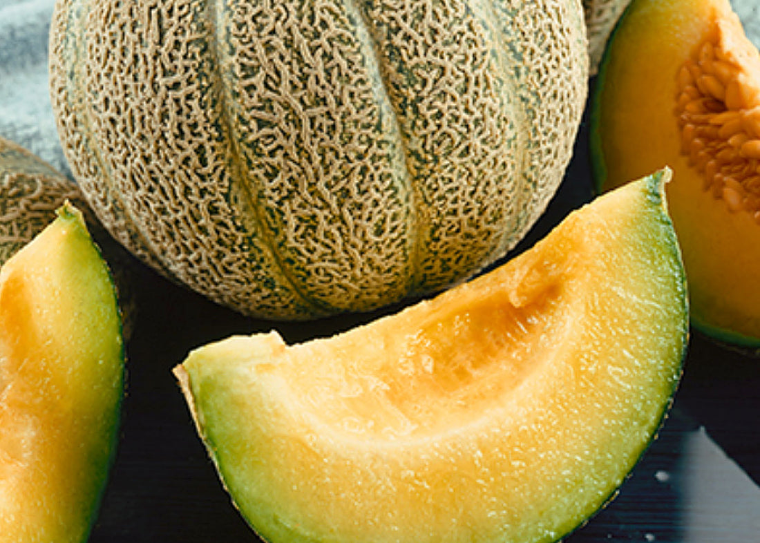 Honey Dew Melon Tam 20 seeds