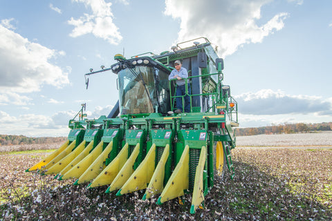 American Cotton Harvesting