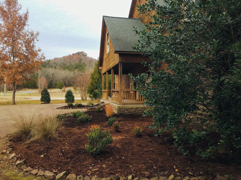 Cabin Landscape