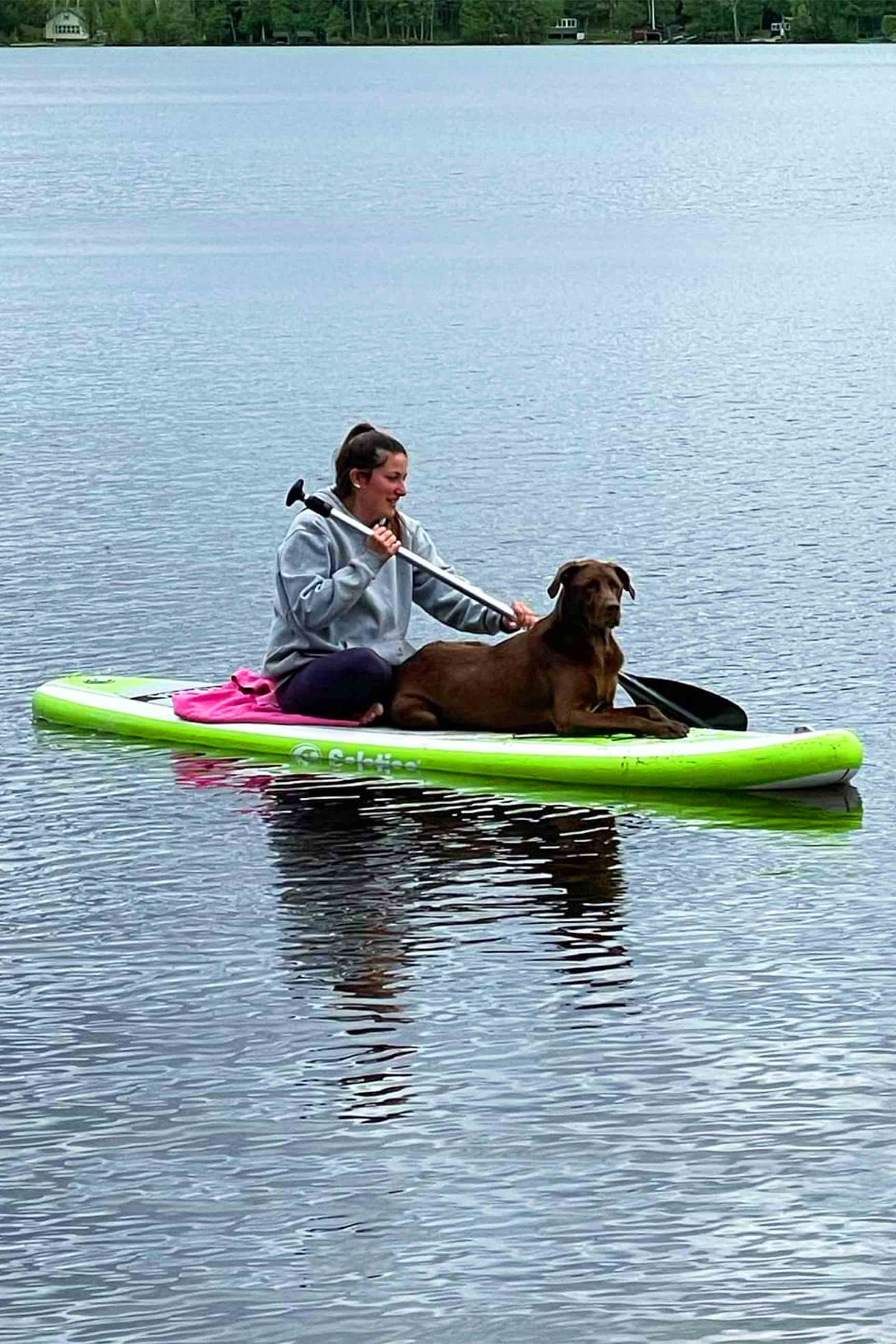 Pet friendly paddleboard