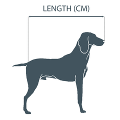 Baker & Bray - Dog Size Guide