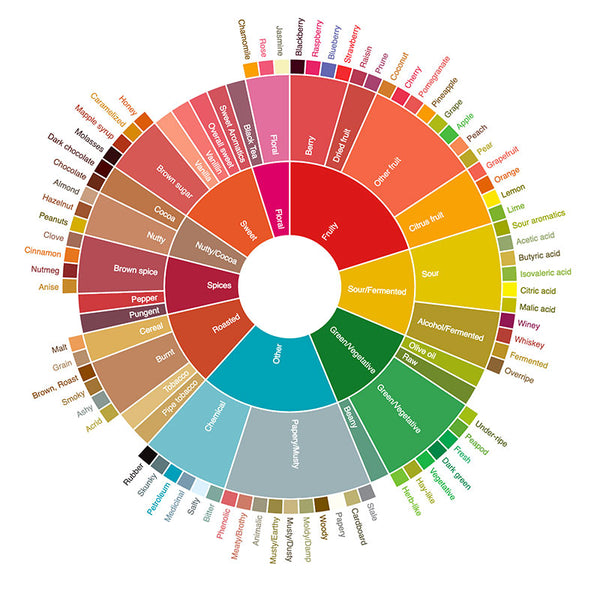 SCA-flavor-wheel