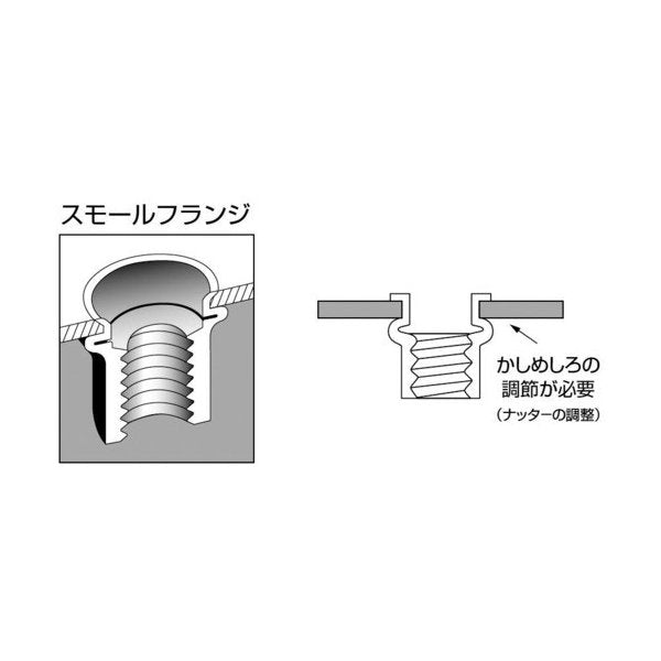 ロブテックス エビローレットナット(ラージフランジ) 1000本 NSD5MR エビ印 - 3