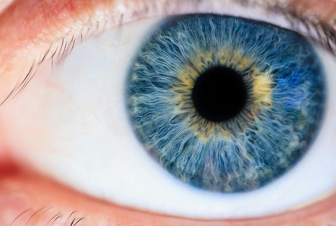 Close up picture of eyeball with blue pupil