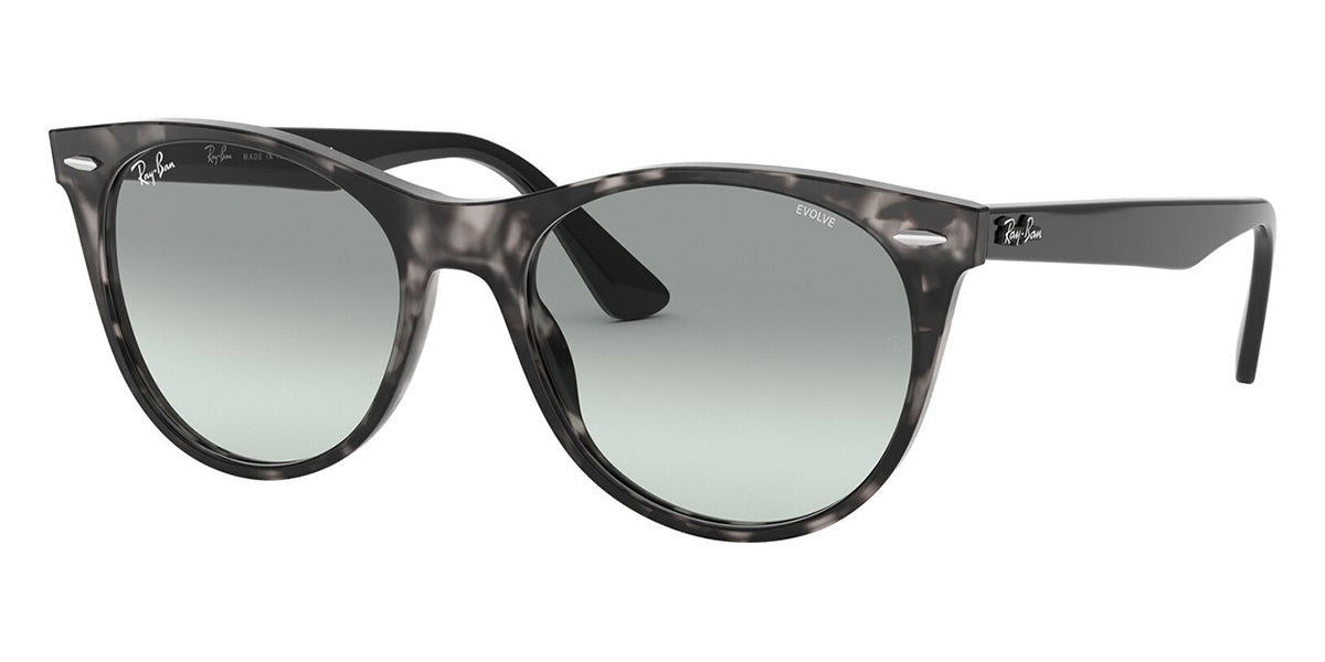 ray ban wayfarer ii