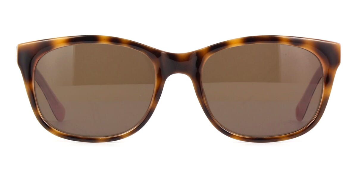 ted baker paige 1448 sunglasses