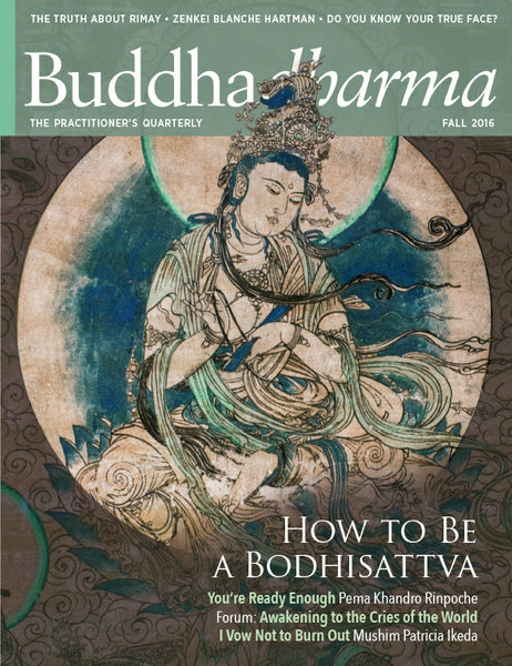 Buddhadharma - The Practitioner's Quarterly - Fall 2016 – Lion’s Roar