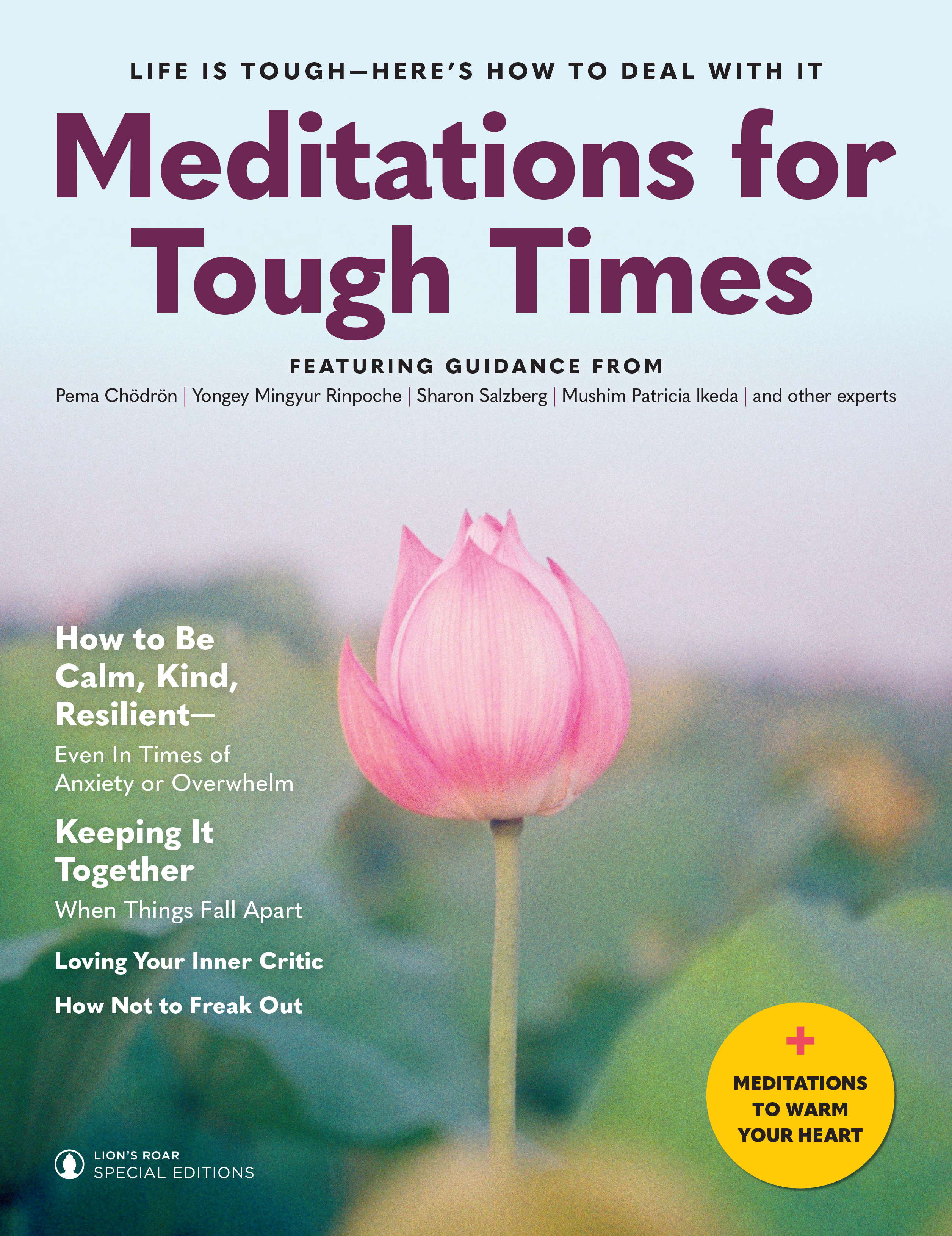 Meditations for Tough Times - Lions Roar product image