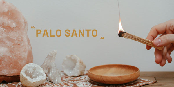 what is palo santo?