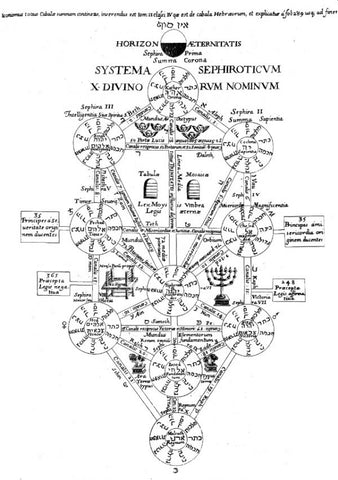 what does the tree of life represent