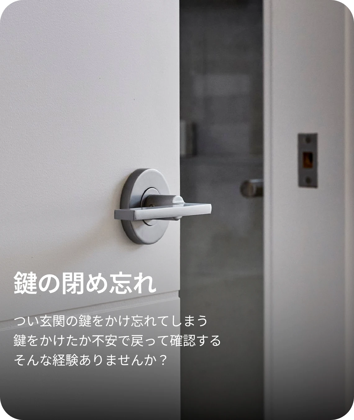 组 2072@3x.webp__PID:9bddbe03-6885-4cce-aaf1-175d56b7f2e1