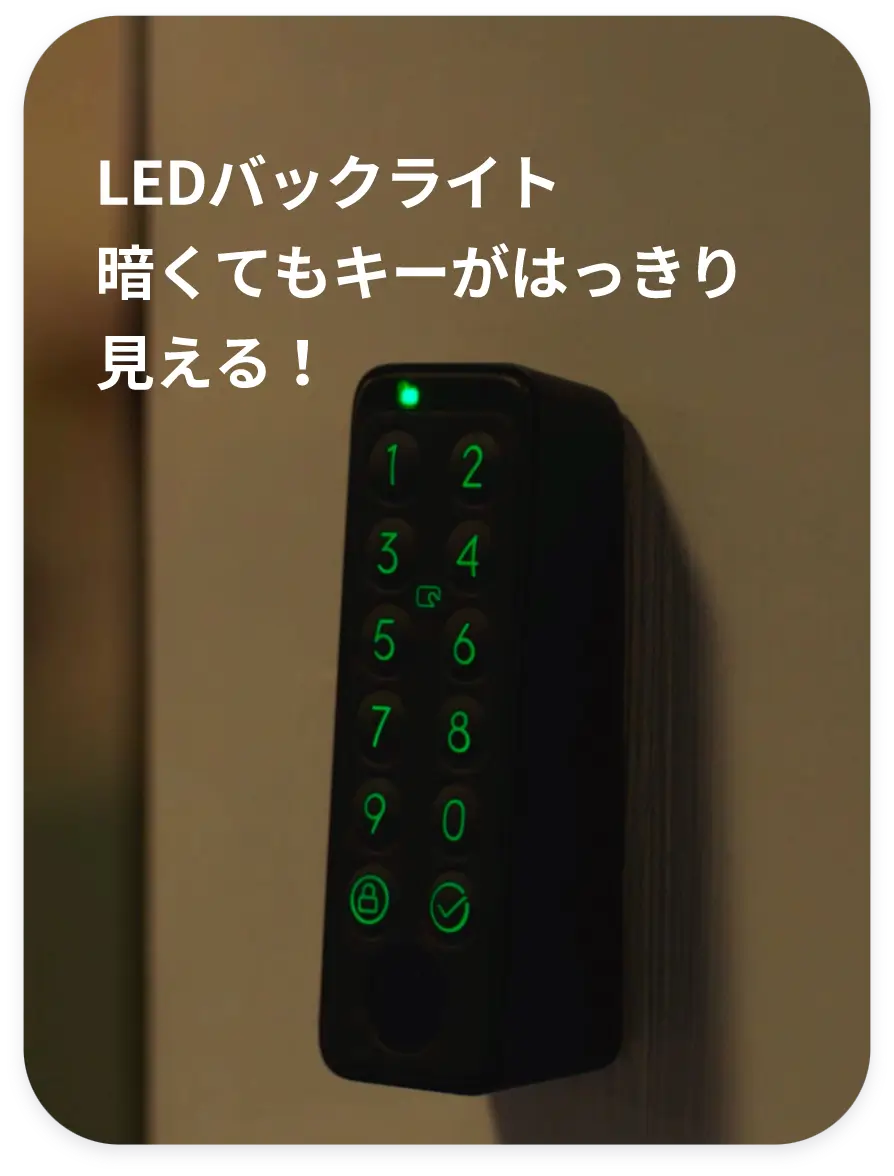 LEDバックライト