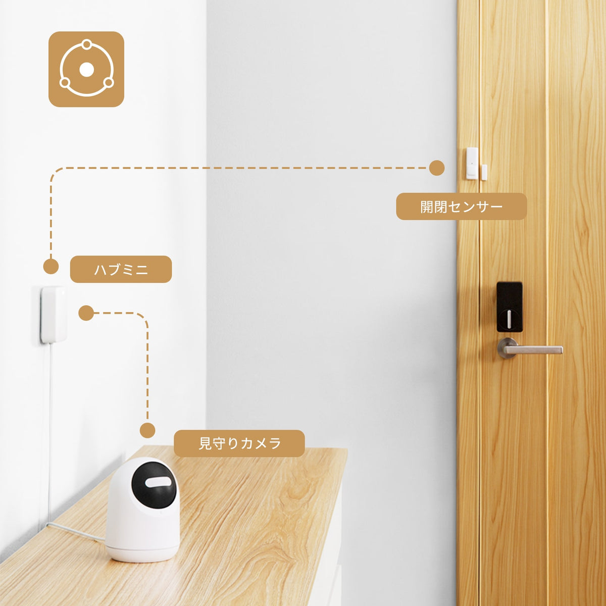 SwitchBot 見守りカメラ 防犯対策