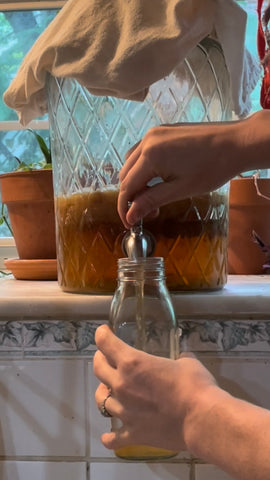 kombucha pouring