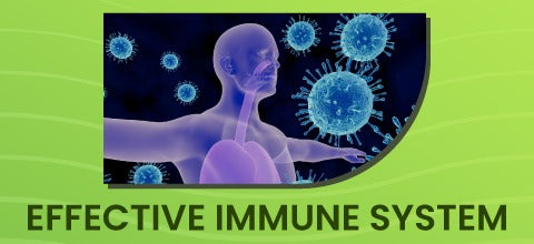 Effective Immune System