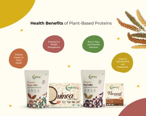 plant-based protein in your diet