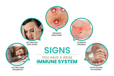 Signs-You-Have-a-Weak-Immune-System