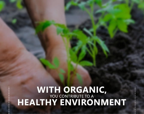 organic food organic food products benefits of organic food