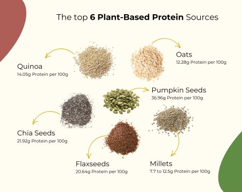 top 6 Plant-Based Proteins