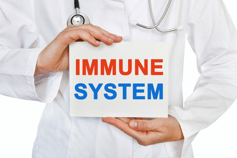 How Does the Immune System Work
