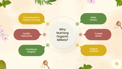 Why Choose Nutriorg Organic Millets