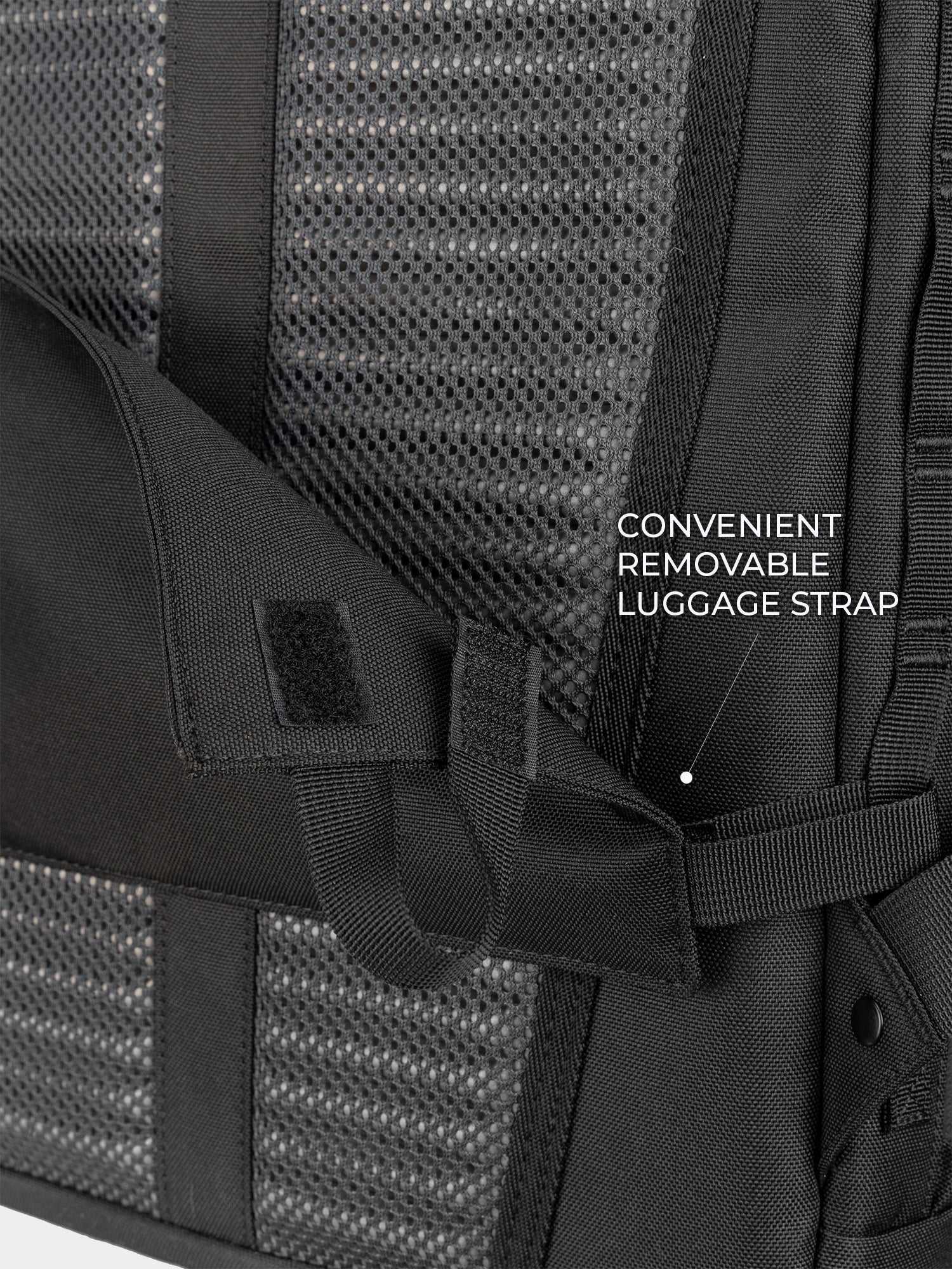 LTT Backpack