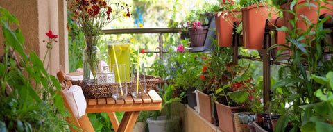 plante-decor-balcon